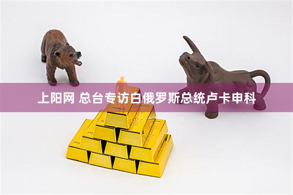 上阳网 总台专访白俄罗斯总统卢卡申科