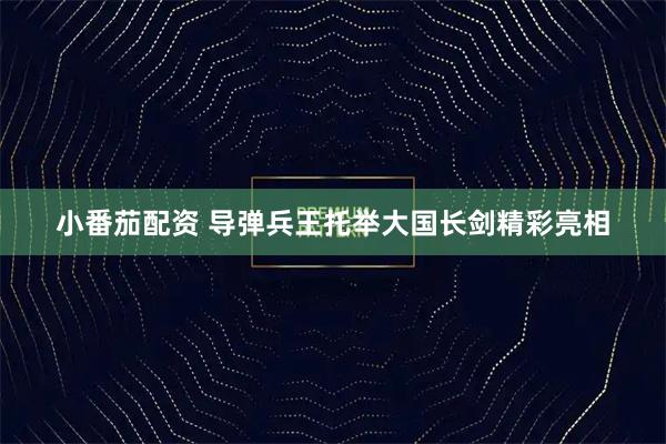 小番茄配资 导弹兵王托举大国长剑精彩亮相