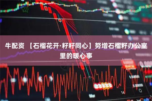 牛配资 【石榴花开·籽籽同心】努增石榴籽办公室里的暖心事