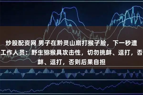 炒股配资网 男子在黔灵山扇打猴子脸，下一秒遭飞踹反击！工作人员：野生猕猴具攻击性，切勿挑衅、逗打，否则后果自担
