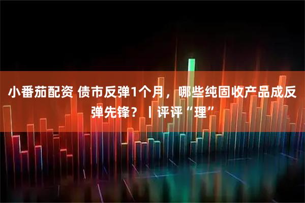 小番茄配资 债市反弹1个月，哪些纯固收产品成反弹先锋？丨评评“理”