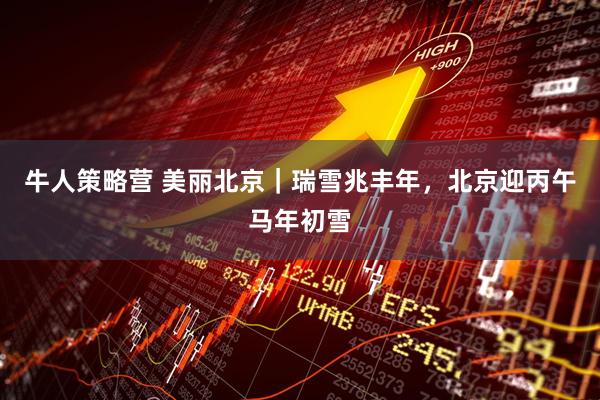 牛人策略营 美丽北京｜瑞雪兆丰年，北京迎丙午马年初雪