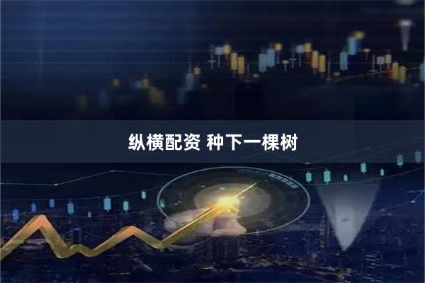 纵横配资 种下一棵树