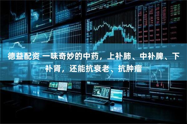 德益配资 一味奇妙的中药，上补肺、中补脾、下补肾，还能抗衰老、抗肿瘤